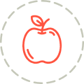 Icon apple Icon apple